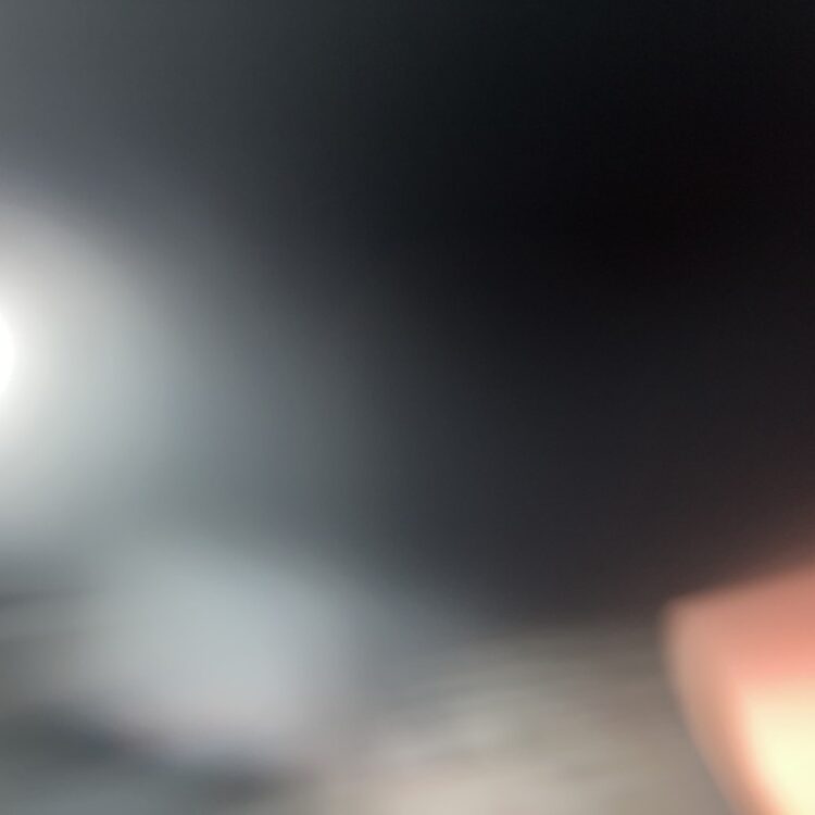 Foto de perfil de Mini_rainbows_