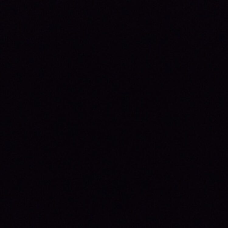 Foto de perfil de Jake