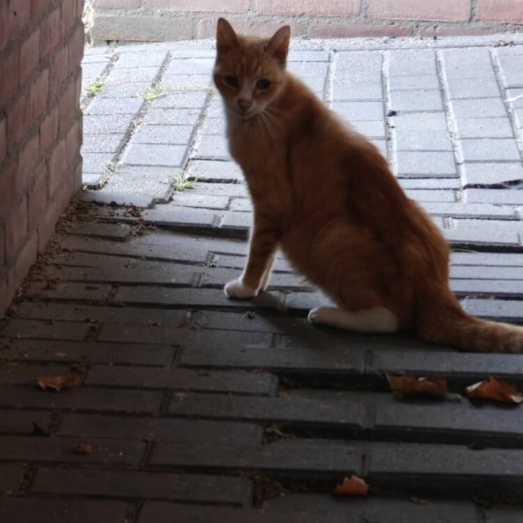 Foto de perfil de jack