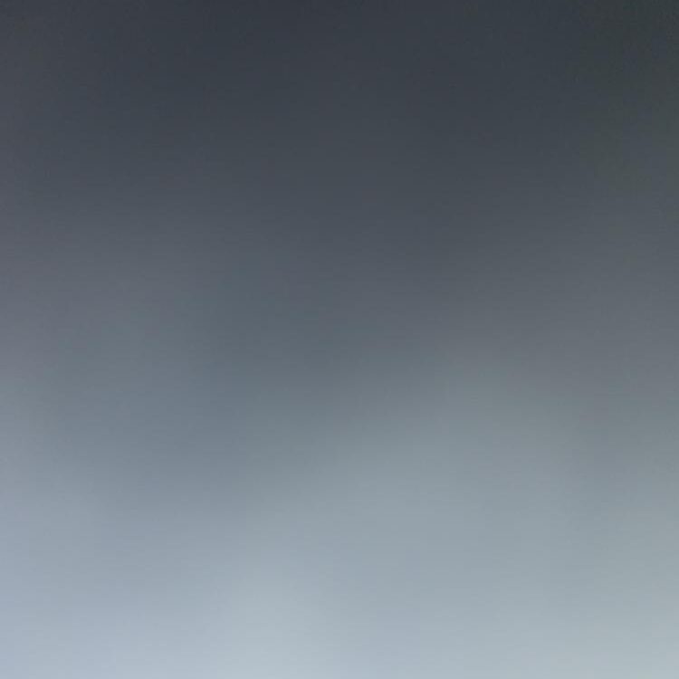 Foto de perfil de brandon