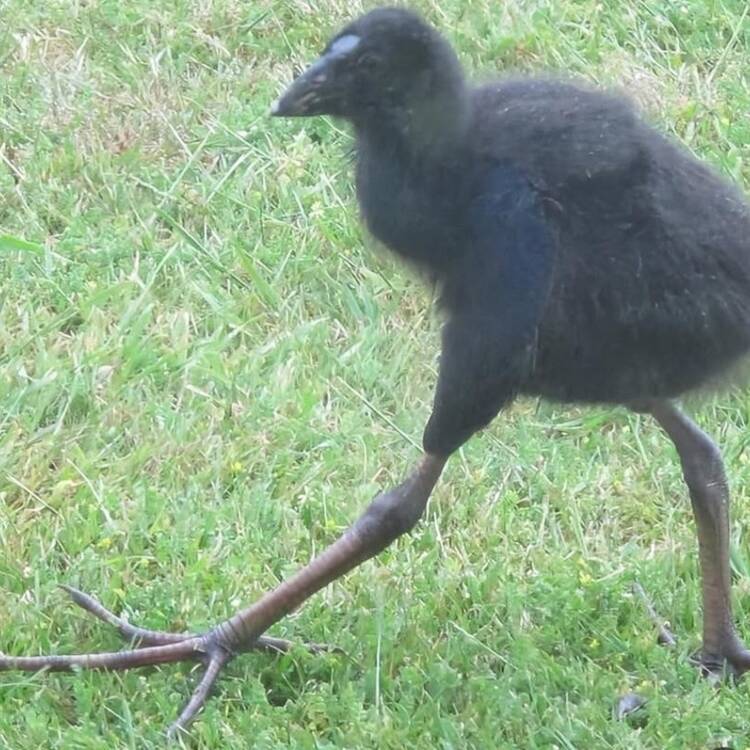Foto de perfil de D. Activated