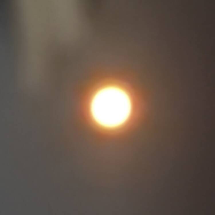 Foto de perfil de Nm