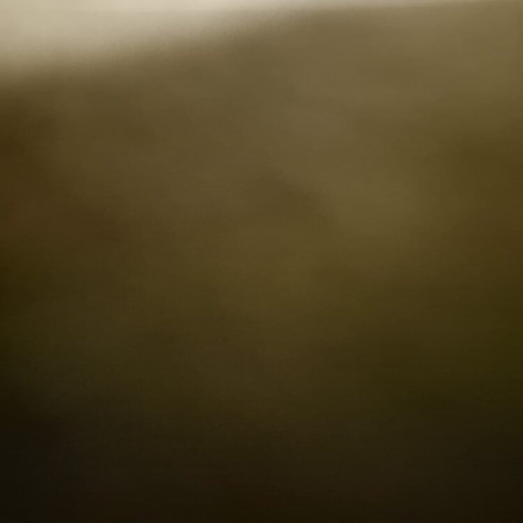 Foto de perfil de Nnnnnnnnn