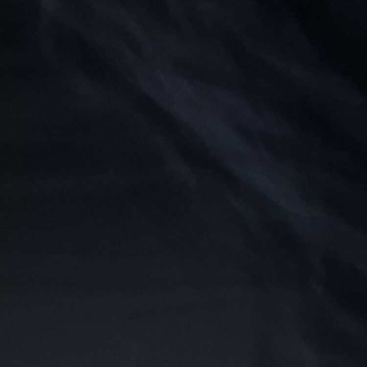 Foto de perfil de Camilla