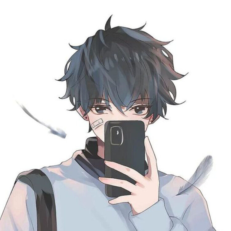 Foto de perfil de Fin