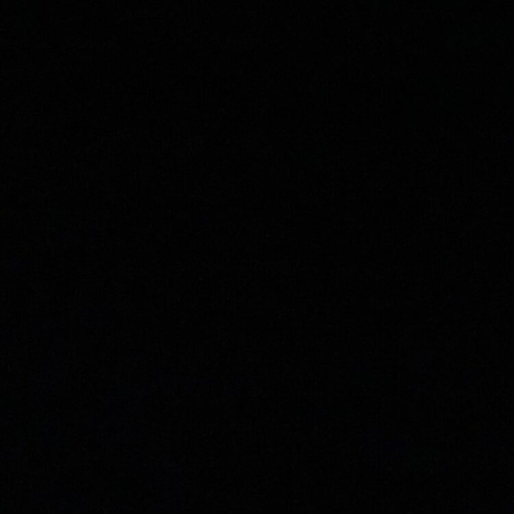 Foto de perfil de Max James