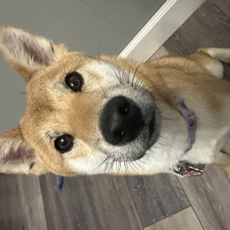Foto de perfil de Jenaira