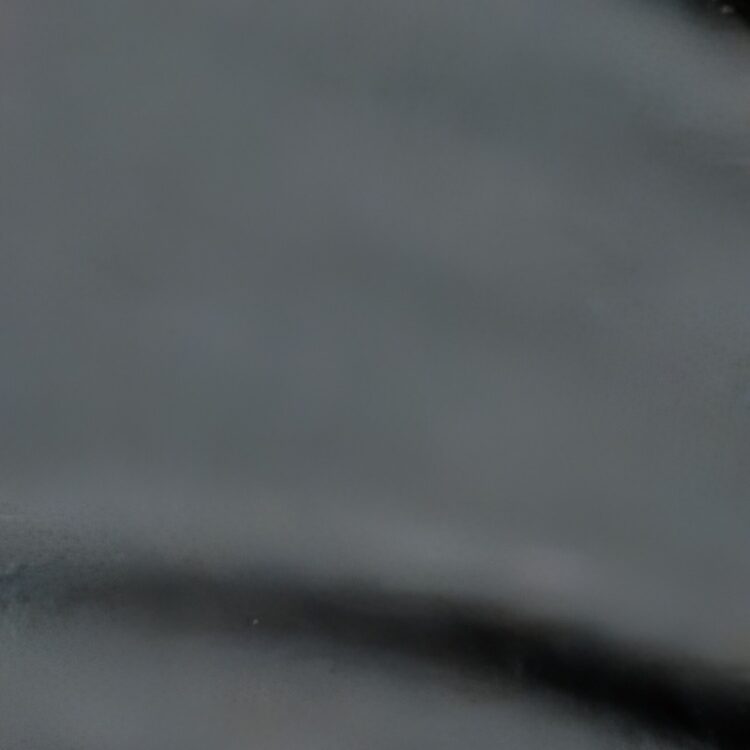 Foto de perfil de Sam