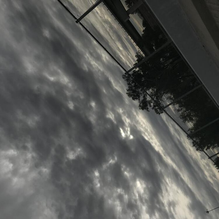 Foto de perfil de Salena