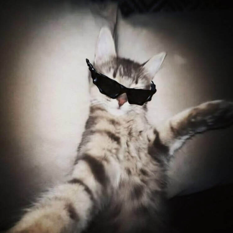 Foto de perfil de Angel