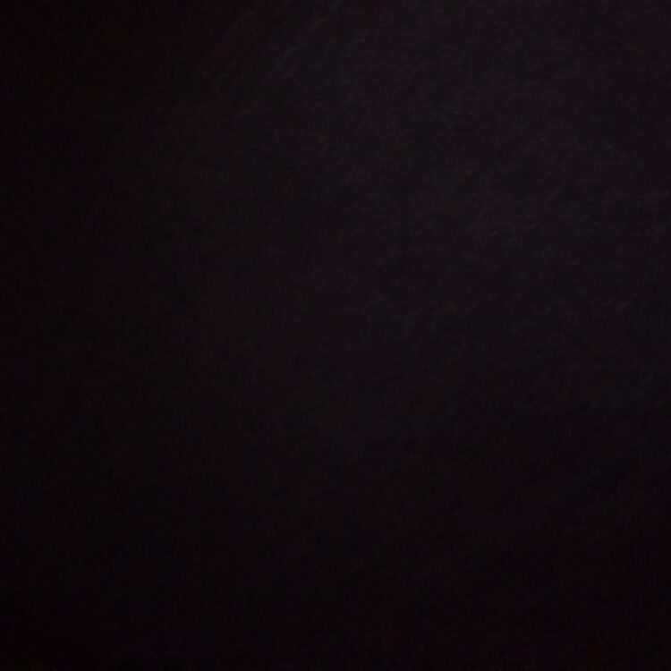 Foto de perfil de Davi