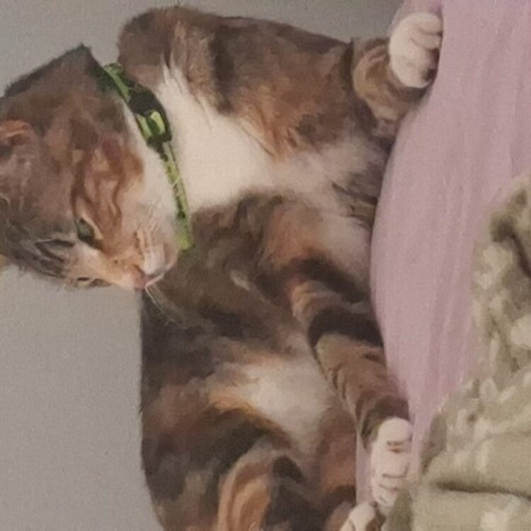Foto de perfil de Aeris