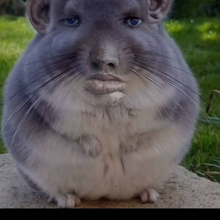 Foto de perfil de .