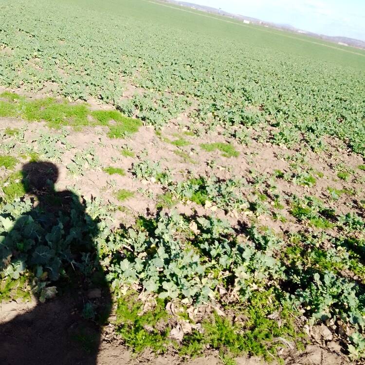 Foto de perfil de Martin
