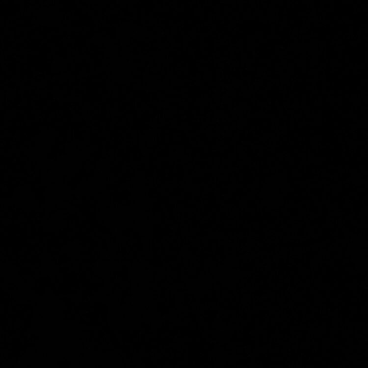 Foto de perfil de Ellie