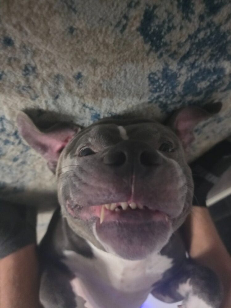 Foto de perfil de Zoesmart838